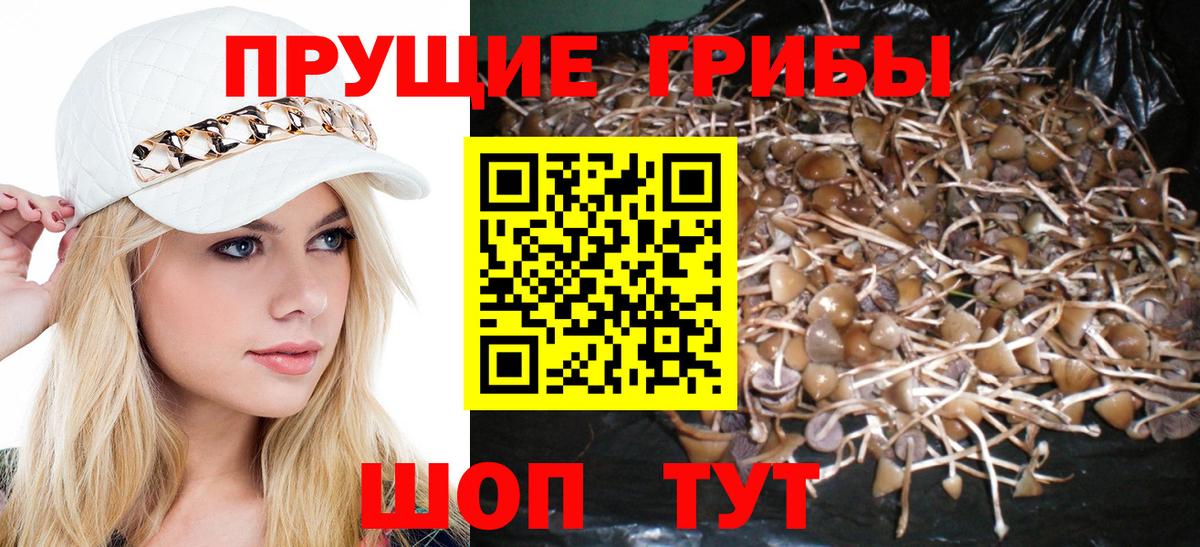 Алексеевка  Галлюциногенные грибы Psilocybe  Вход с VPN  цены наркотик  Галлюциногенные грибы ЛСД 